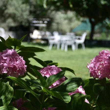 Studio Kostas Otel Asprogerakata Dış mekan fotoğraf